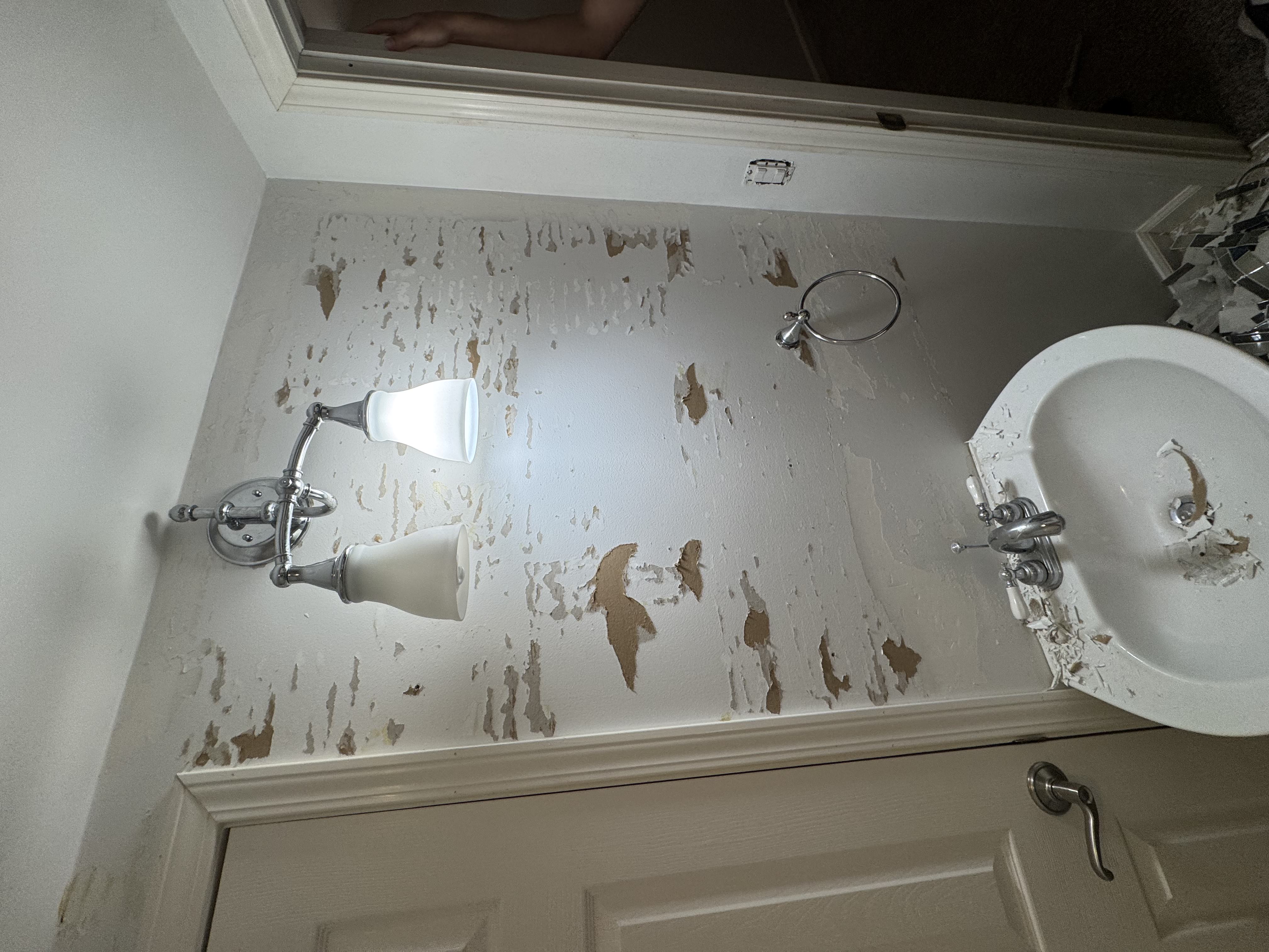Downstairs bathroom wall - before